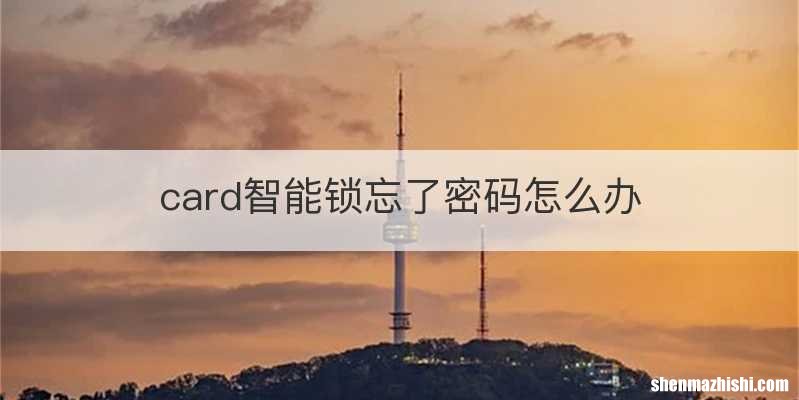 card智能锁忘了密码怎么办