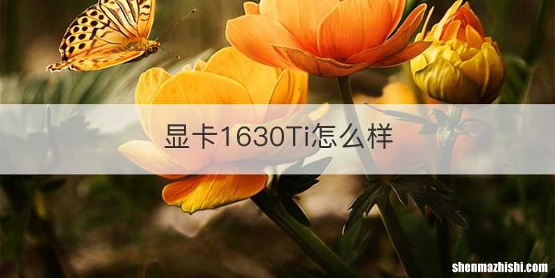 显卡1630Ti怎么样
