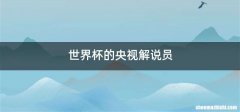 世界杯的央视解说员