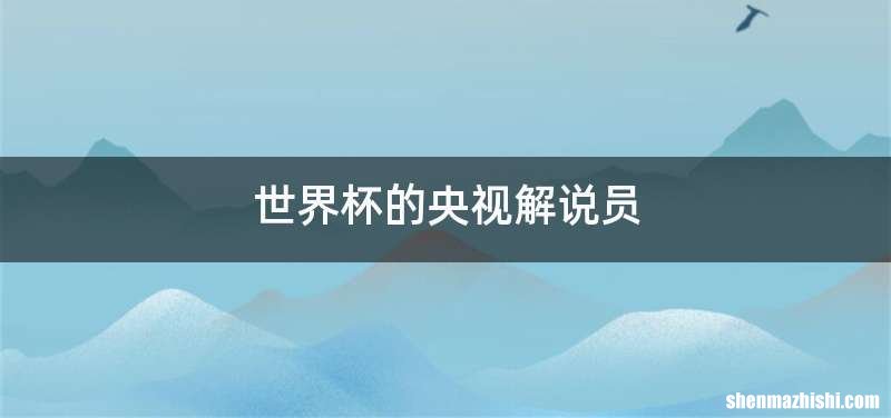 世界杯的央视解说员