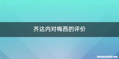齐达内对梅西的评价