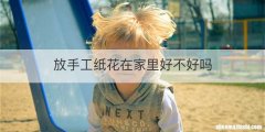 放手工纸花在家里好不好吗