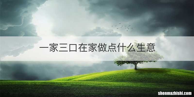 一家三口在家做点什么生意