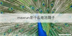 maxrun是什么电池牌子