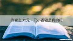 淘宝上30元一只小香猪是真的吗