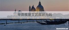 辛弃疾是文武双状元吗