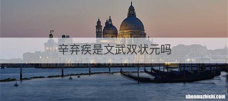 辛弃疾是文武双状元吗