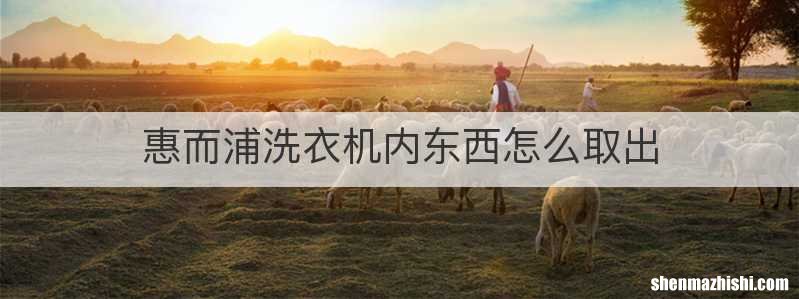 惠而浦洗衣机内东西怎么取出