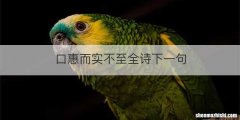 口惠而实不至全诗下一句