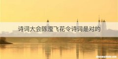 诗词大会陈滢飞花令诗词是对的