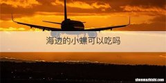 海边的小螺可以吃吗