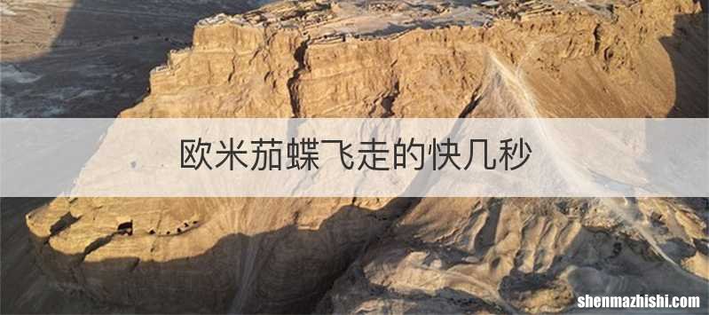 欧米茄蝶飞走的快几秒