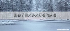 形容节目又多又好看的成语