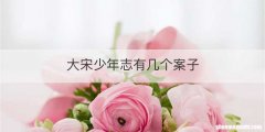 大宋少年志有几个案子
