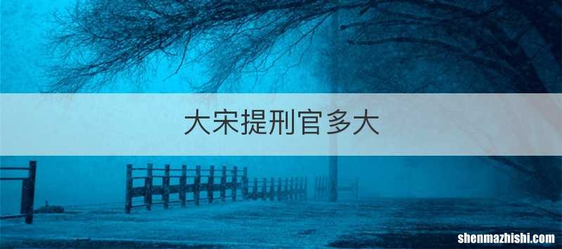 大宋提刑官多大
