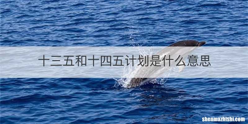 十三五和十四五计划是什么意思