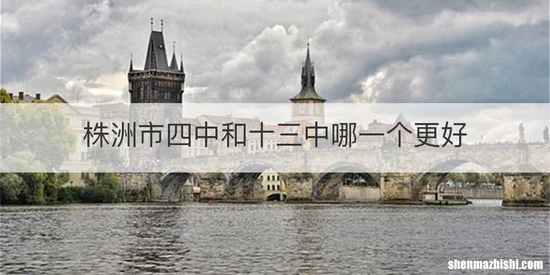 株洲市四中和十三中哪一个更好
