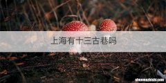 上海有十三古巷吗