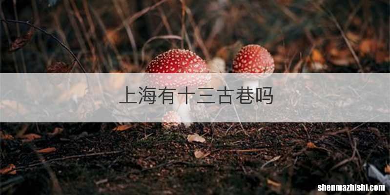 上海有十三古巷吗