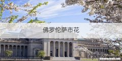 佛罗伦萨市花