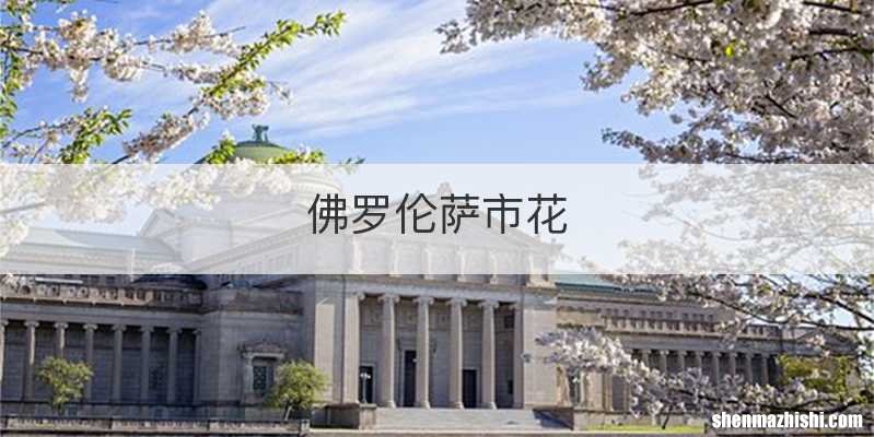 佛罗伦萨市花