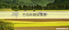 竹石吟题目意思