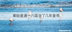 秦始皇通一六国当了几年皇帝