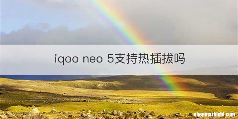 iqoo neo 5支持热插拔吗