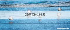如何取悦对象