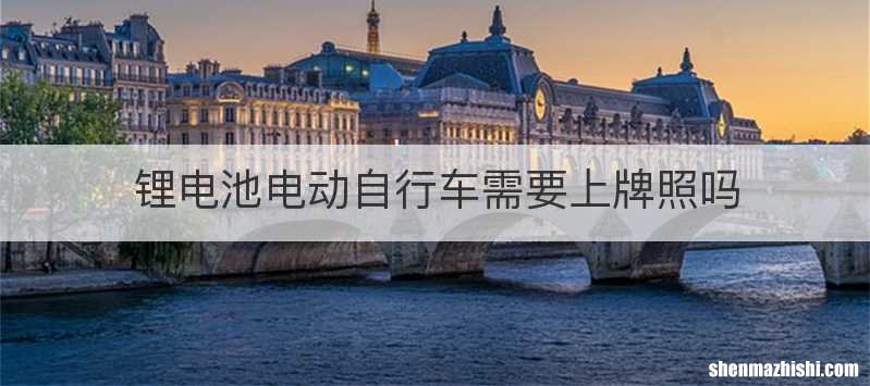 锂电池电动自行车需要上牌照吗
