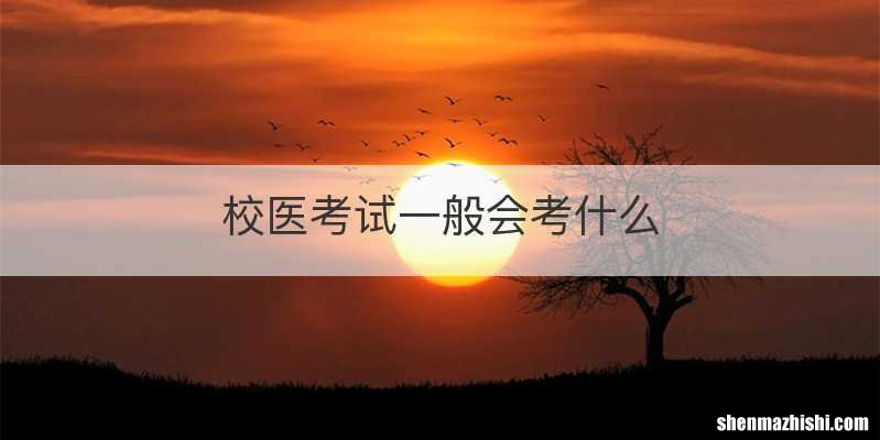 校医考试一般会考什么