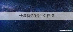 长城特选9是什么档次