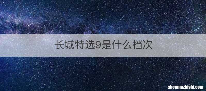 长城特选9是什么档次