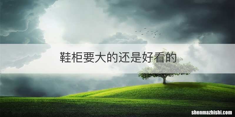 鞋柜要大的还是好看的
