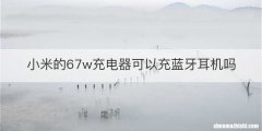 小米的67w充电器可以充蓝牙耳机吗