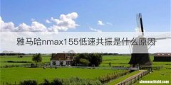 雅马哈nmax155低速共振是什么原因