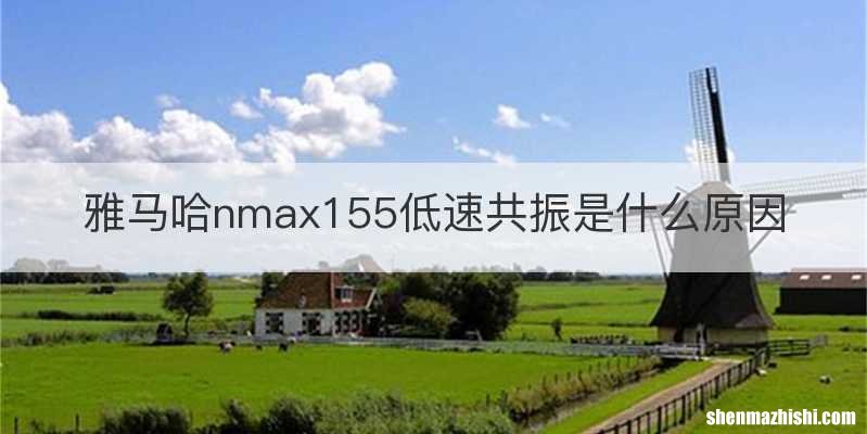 雅马哈nmax155低速共振是什么原因