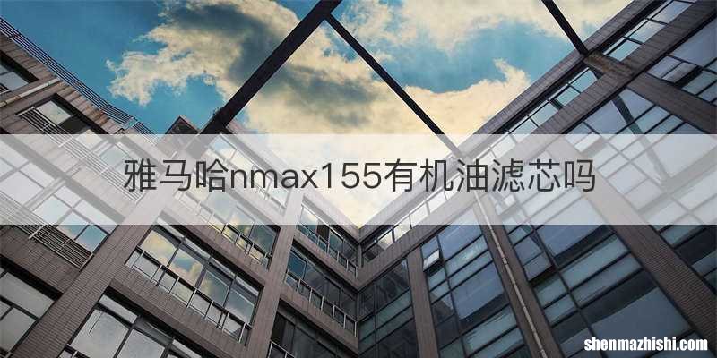 雅马哈nmax155有机油滤芯吗