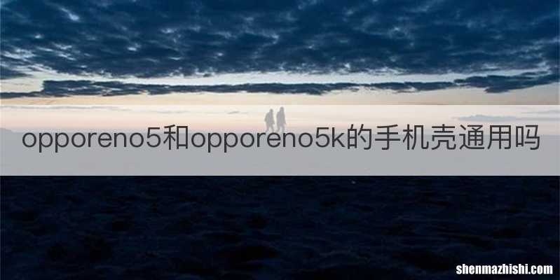 opporeno5和opporeno5k的手机壳通用吗