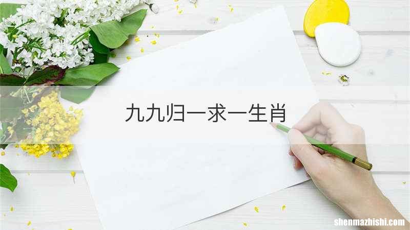 九九归一求一生肖