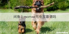闲鱼上momax充电宝靠谱吗
