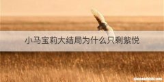 小马宝莉大结局为什么只剩紫悦