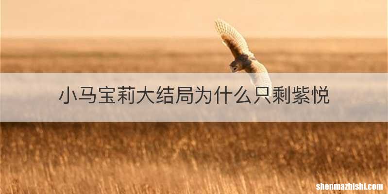 小马宝莉大结局为什么只剩紫悦