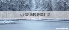 大兴动物园表演时间