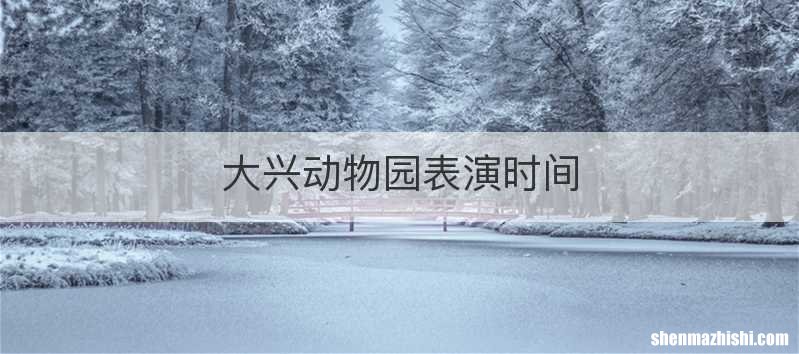 大兴动物园表演时间