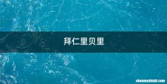 拜仁里贝里