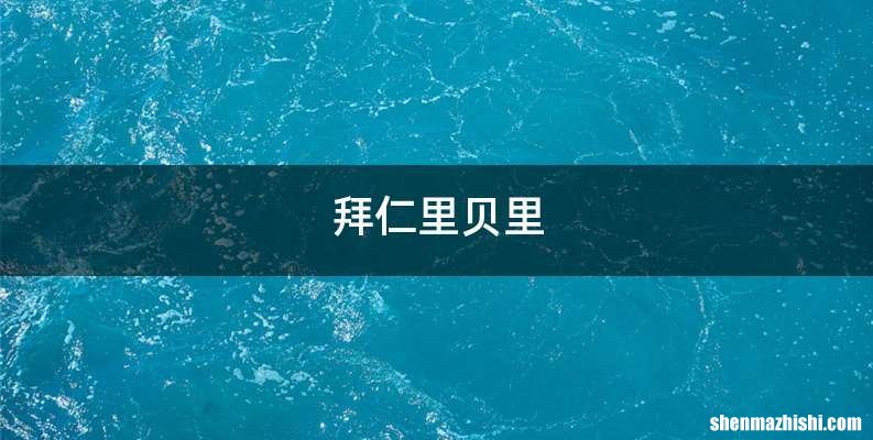 拜仁里贝里