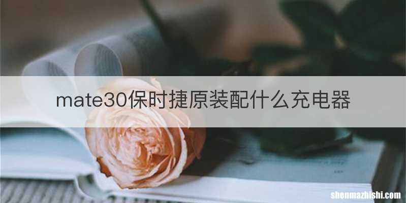 mate30保时捷原装配什么充电器