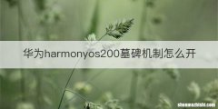 华为harmonyos200墓碑机制怎么开