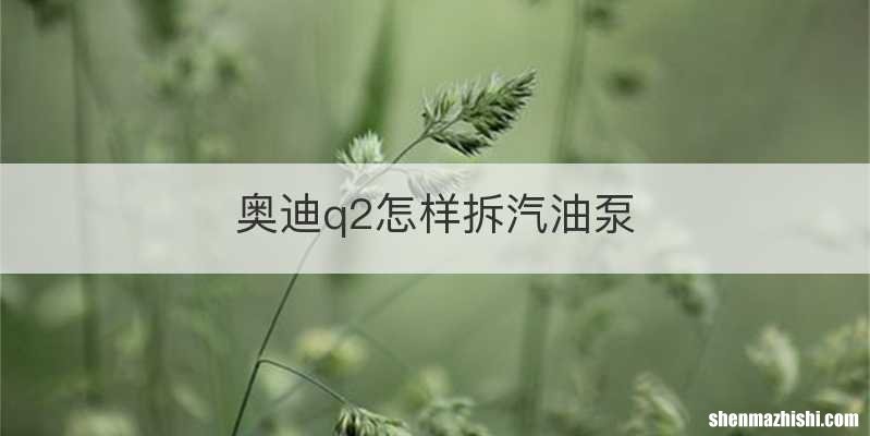 奥迪q2怎样拆汽油泵